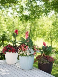 Outdoor Garden Care Shop -Outdoor Garden Care Shop 8597388 2141 tif