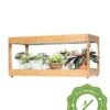 Low Bamboo LED Grow Light Garden -Outdoor Garden Care Shop 8597720 10i