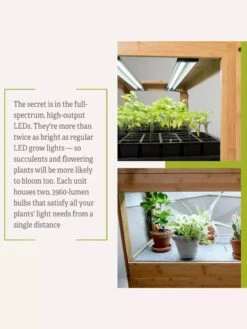 Bamboo LED Grow Light Garden For Succulents And Seeds -Outdoor Garden Care Shop 8598084 7