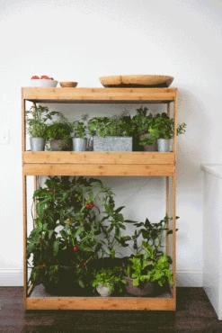 Bamboo Home LED Grow Light Garden -Outdoor Garden Care Shop 8598088 BambooLEDHomeGarden light gif