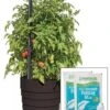 Gardener’s Victory Self-Watering Planter Garden Kit