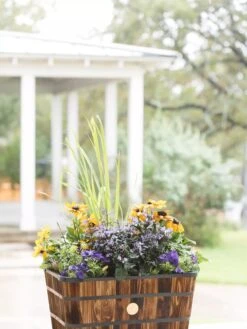 Outdoor Garden Care Shop -Outdoor Garden Care Shop 8598403 008876 tif