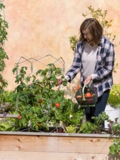 Gardener's Vertex Lifetime Tomato Cage -Outdoor Garden Care Shop 8598426 0026 tif