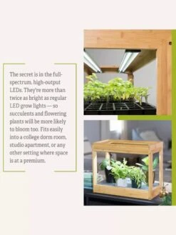 Bamboo Mini LED Grow Light Garden -Outdoor Garden Care Shop 8599624 06