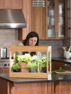 Bamboo Mini LED Grow Light Garden -Outdoor Garden Care Shop 8599624 12532 tif