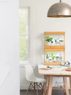 Bamboo Mini LED Grow Light Garden -Outdoor Garden Care Shop 8599624 13244 tif