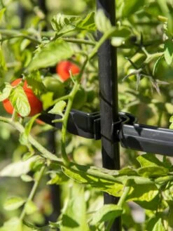 Titan Tomato Cages, Set Of 3 -Outdoor Garden Care Shop 8599861 0079 tif