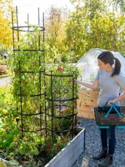 Titan Tomato Cages, Set Of 3 -Outdoor Garden Care Shop 8599861 0114 tif