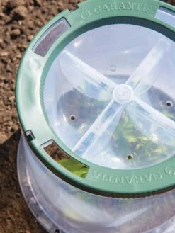 Sunny Forcing Cloches, Set Of 3 11 Sunny Forcing Cloches, Set Of 3 -Outdoor Garden Care Shop 8600075 0742 tif