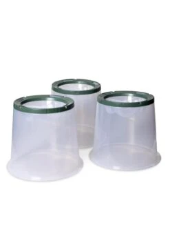 Sunny Forcing Cloches, Set Of 3 10 Sunny Forcing Cloches, Set Of 3 -Outdoor Garden Care Shop 8600075 24 tif