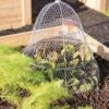 Chicken Wire Cloche With Extension -Outdoor Garden Care Shop 8600116 0482 tif