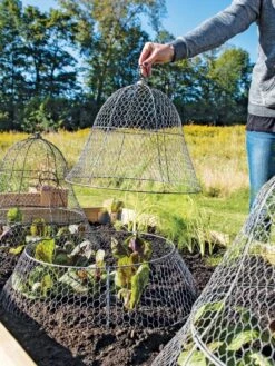 Chicken Wire Cloche With Extension 19 Chicken Wire Cloche With Extension -Outdoor Garden Care Shop 8600116 0604 3 4