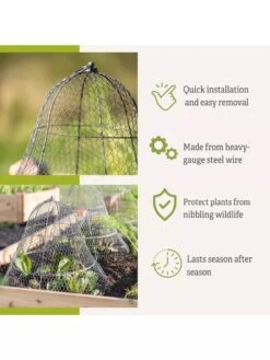 Chicken Wire Cloche With Extension 17 Chicken Wire Cloche With Extension -Outdoor Garden Care Shop 8600116 3