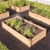 Copper Cap Raised Beds