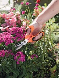 Gardener's Multi Purpose Scissors -Outdoor Garden Care Shop 8608655 19551 tif