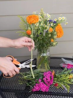 Gardener's Multi Purpose Scissors -Outdoor Garden Care Shop 8608655 19555 tif