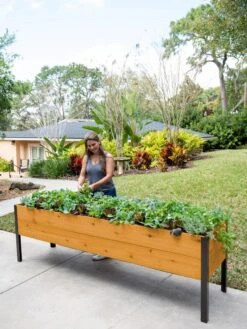 Self-Watering Eco-Stained Elevated Planter Box, 2' X 8' -Outdoor Garden Care Shop 8608965 6069 tif