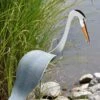 Florida Dancing Birds®, Great Blue Heron -Outdoor Garden Care Shop 8609451 02V jpg