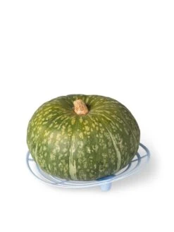 Melon And Squash Cradles, Set Of 6 -Outdoor Garden Care Shop 8609464 5204 tif