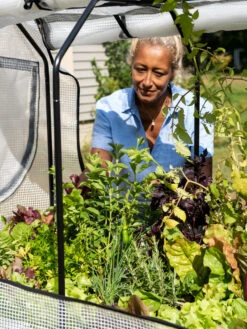 VegTrug®Patio Garden Greenhouse Cover Kit -Outdoor Garden Care Shop 8610172 1256