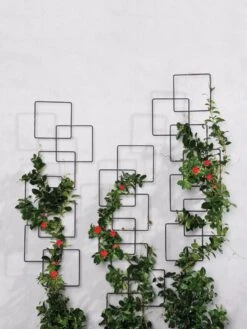 Building Blocks Wall Trellis, 45" 8 Building Blocks Wall Trellis, 45" -Outdoor Garden Care Shop 8610183 5811 tif