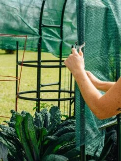 Maxi Garden Hoops With Clips -Outdoor Garden Care Shop 8610372 368 tif