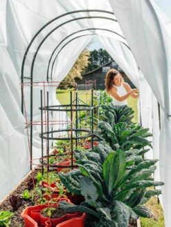 Maxi Garden Hoops With Clips -Outdoor Garden Care Shop 8610373 377 tif