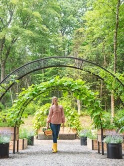 2’ X 8’ Arch Trellis For Planter Boxes -Outdoor Garden Care Shop 8610798 071 tif