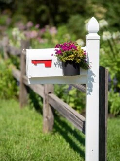 Mailbox Planter -Outdoor Garden Care Shop 8611026 014 tif