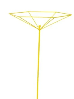 Parasol Plant Supports, Set Of 3 -Outdoor Garden Care Shop 8611129 3844 tif