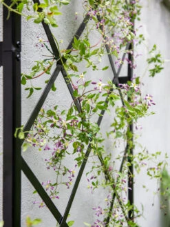 Lattice Gable Wall Trellis 8 Lattice Gable Wall Trellis -Outdoor Garden Care Shop 8611130 011