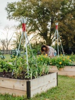 DIY Connector For Teepee Trellis -Outdoor Garden Care Shop 8611896 38 tif