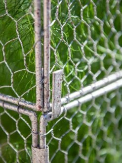 Chicken Wire Crop Coop Extension -Outdoor Garden Care Shop 8611940 232 tif