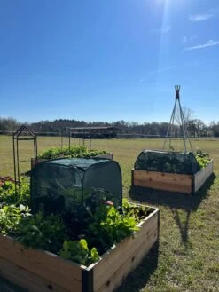 Pest Control Pop-Ups -Outdoor Garden Care Shop 8611989 05 tif