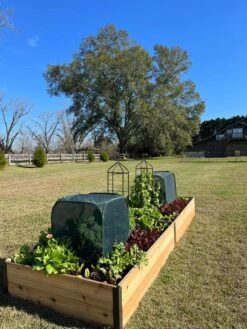 Pest Control Pop-Ups -Outdoor Garden Care Shop 8611989 08 tif