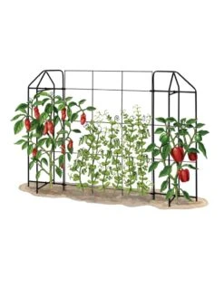 Zenith Trellis -Outdoor Garden Care Shop 8612035 art tif