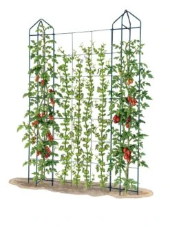 Zenith Trellis -Outdoor Garden Care Shop 8612036 art tif
