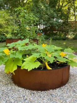 Birdies™ Corten Steel Round Raised Beds -Outdoor Garden Care Shop 8612422 0484 tif