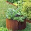Birdies™ Corten Steel Round Raised Beds -Outdoor Garden Care Shop 8612423 1537 tif