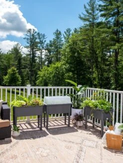 Self-Watering Standing Salad Planter With Cloche -Outdoor Garden Care Shop 8612702 2002 tif