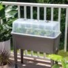 Self-Watering Standing Salad Planter With Cloche -Outdoor Garden Care Shop 8612702 2032 tif