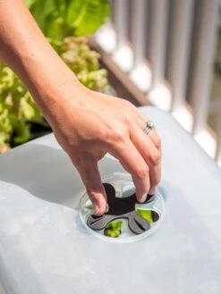 Self-Watering Standing Salad Planter With Cloche -Outdoor Garden Care Shop 8612702 2034 tif