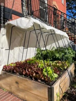 Zenith Garden Hoops, Set Of 4 -Outdoor Garden Care Shop 8612816 01CUST