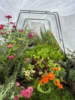 Zenith Garden Hoops, Set Of 4 -Outdoor Garden Care Shop 8612816 01TEST