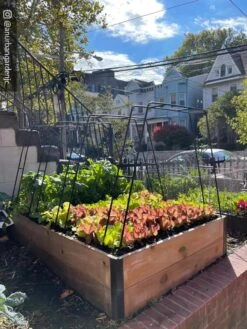 Zenith Garden Hoops, Set Of 4 -Outdoor Garden Care Shop 8612816 02CUST