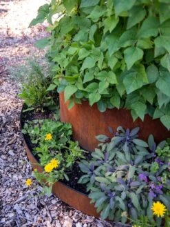 Birdies™ Corten Steel Tiered Round Raised Bed Kit, Tall -Outdoor Garden Care Shop 8613245 0195