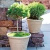 Self-Watering LavaStone® Anson Pot -Outdoor Garden Care Shop 8613256 0124 self watering lavastone anson pot