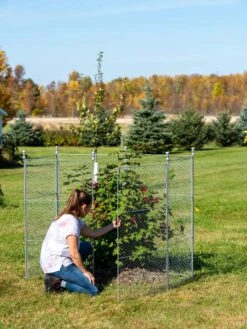 Tall Chicken Wire Critter Fence With Gate -Outdoor Garden Care Shop 8613260 0044