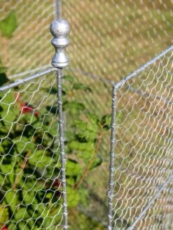 Tall Chicken Wire Critter Fence With Gate -Outdoor Garden Care Shop 8613260 0083