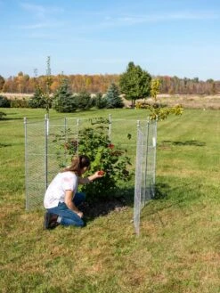 Tall Chicken Wire Critter Fence Extension Panel, Set Of 2 -Outdoor Garden Care Shop 8613260 0090